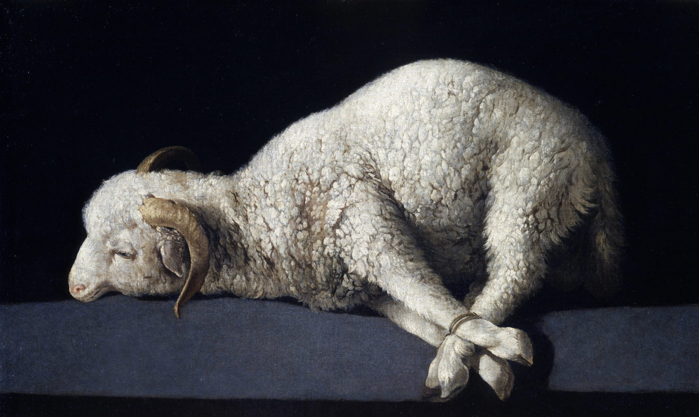 Agnus Dei de Francisco de Zurbarán musée du Prado Madrid